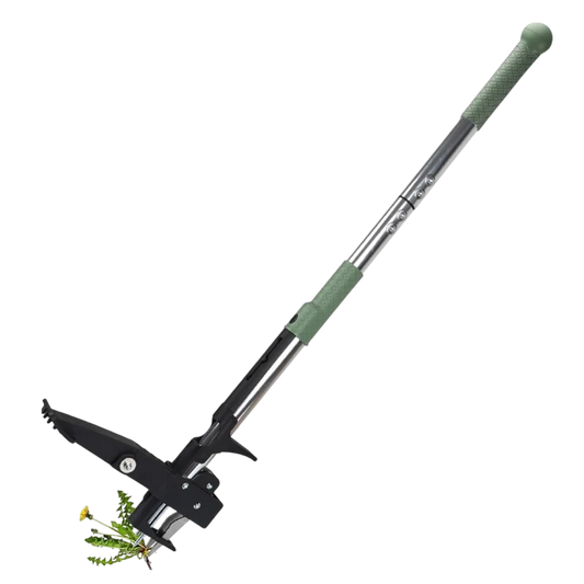 WeedaUp