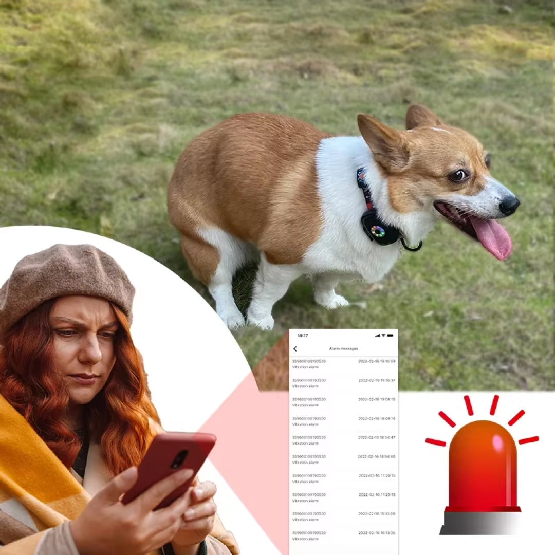 DogFenly