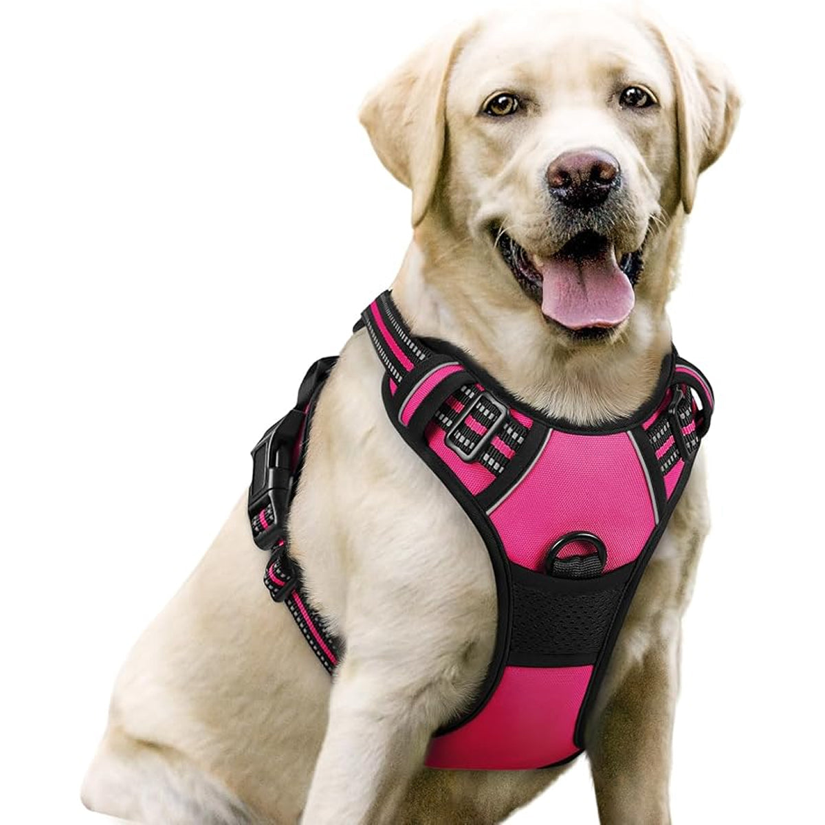 Doghamex
