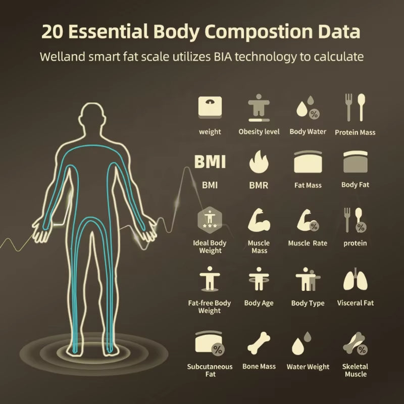 FitgMazz Body Composition Scale
