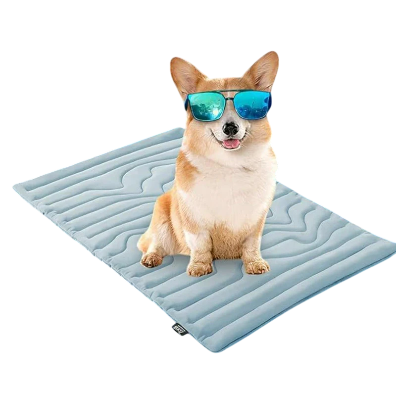 paw-froste-12301.png__PID:f5634ad2-b7f6-4c7e-9950-e8c2335fc4f2