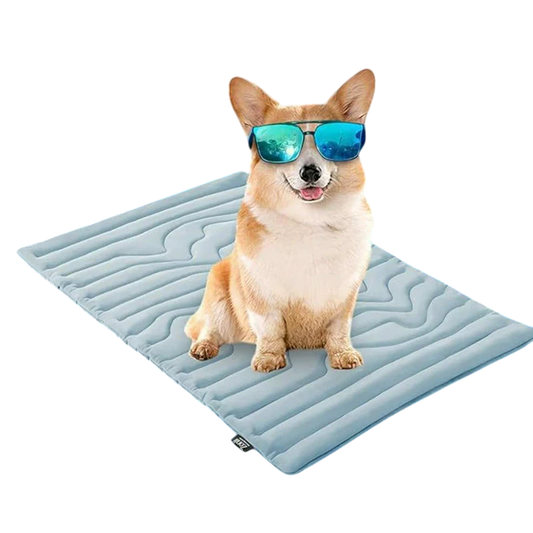 paw-froste-12301.png__PID:f5634ad2-b7f6-4c7e-9950-e8c2335fc4f2