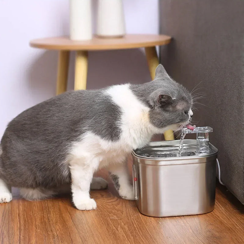 PurrFlowi