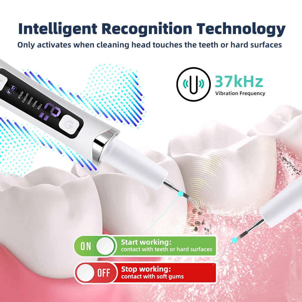Scalixnet