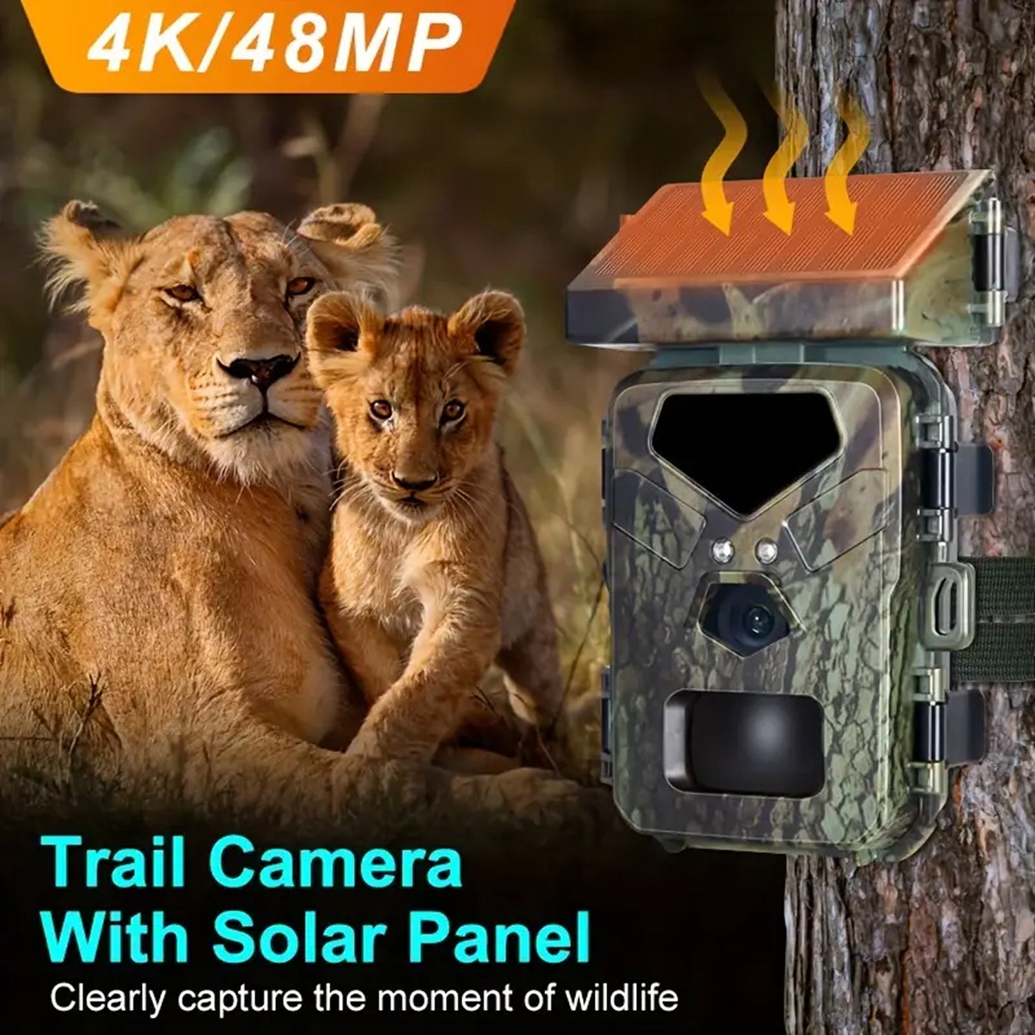 SolCamark
