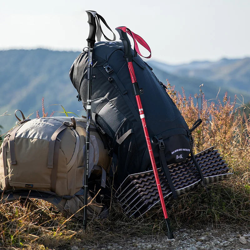 Trekaroz Trekking Pole